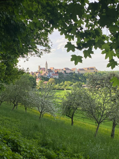 Blick auf Schloss Kirchberg an der Jagst